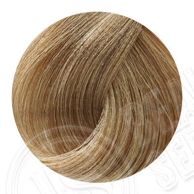 lcp_9.00