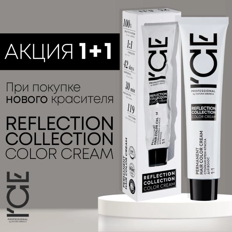 ICE 1+1