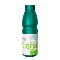 Niagara500